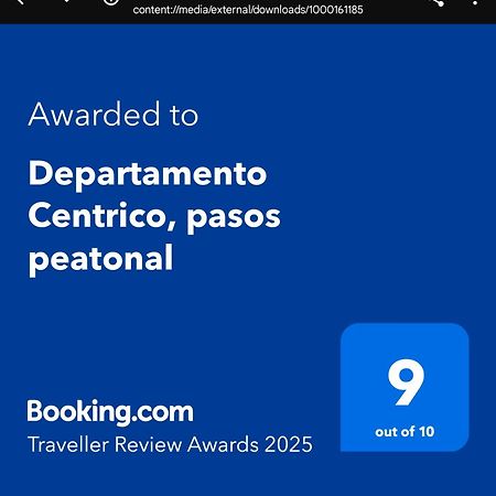 Departamento Centrico, Pasos Peatonal Apartment เมนโดซา ภายนอก รูปภาพ