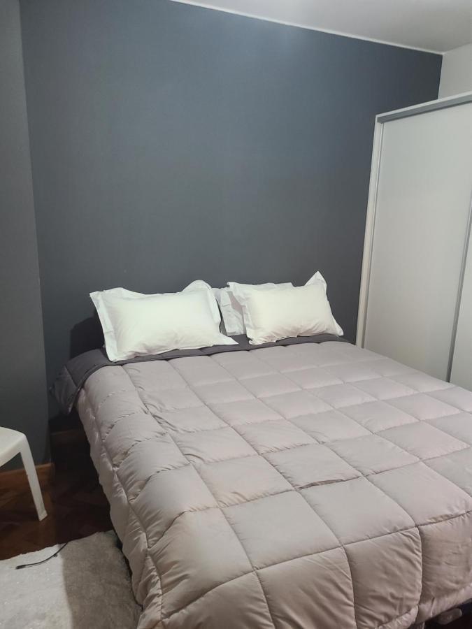 Departamento Centrico, Pasos Peatonal Apartment เมนโดซา ภายนอก รูปภาพ